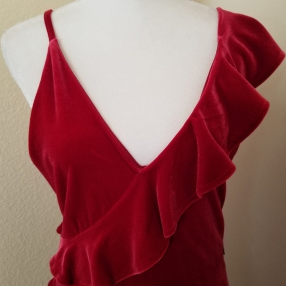 Express Red Velvet Dress, M - Picture 4 of 5